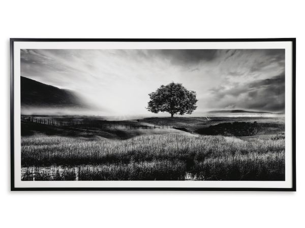 Ashley Furniture Deborland Wall Art in Black/White