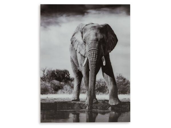 Ashley Furniture Glinyard Wall Art in Black/White