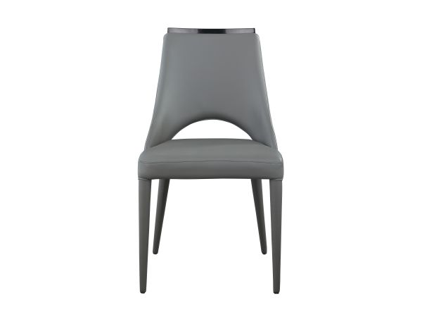 Chintaly Imports Samira Contemporary Fully Upholstered Side Chair in Graphite